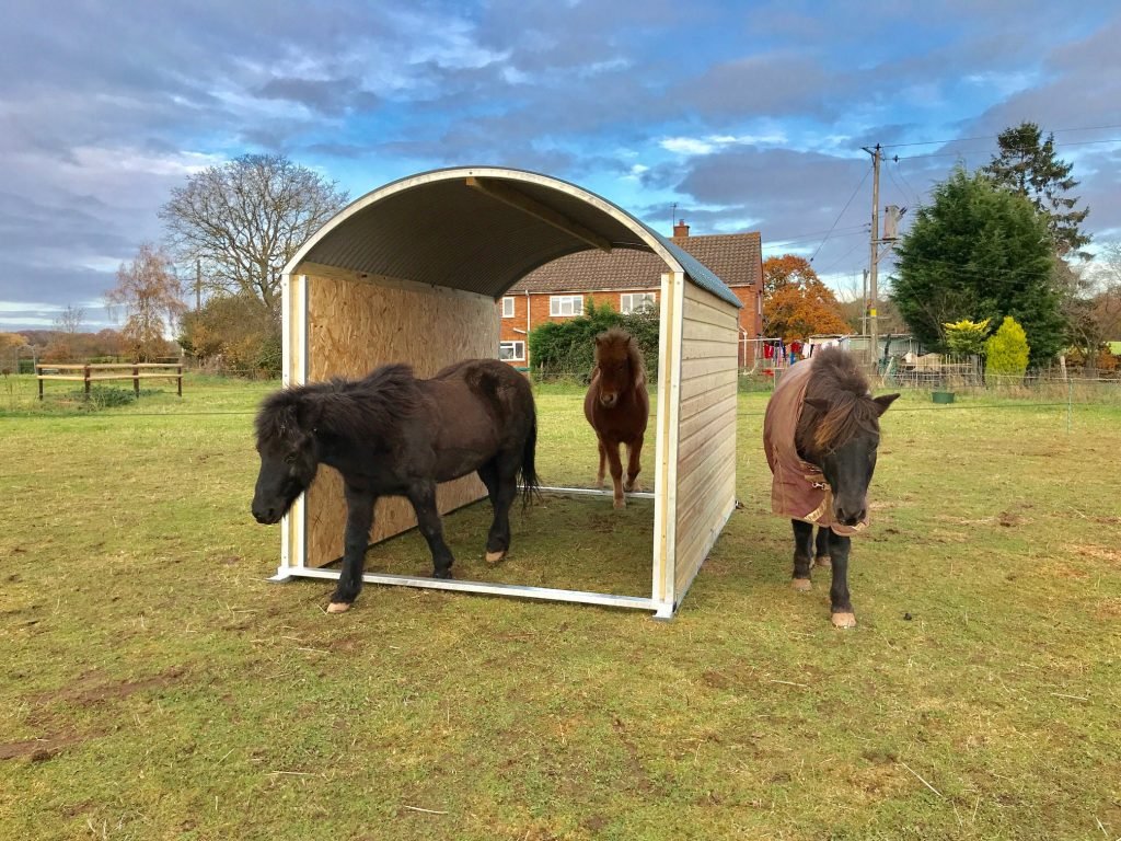 Tradtional Walkthrough Equi HUT Shelter with Horses