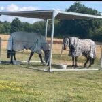 Open Sided Field Shelter