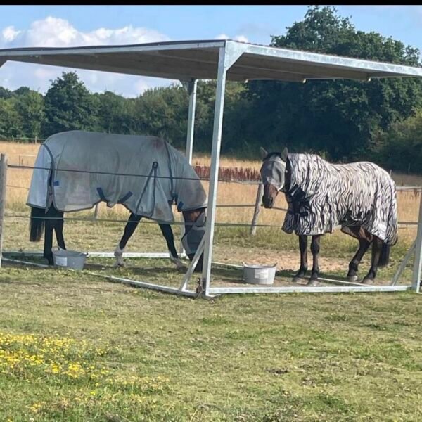 Open Sided Field Shelter